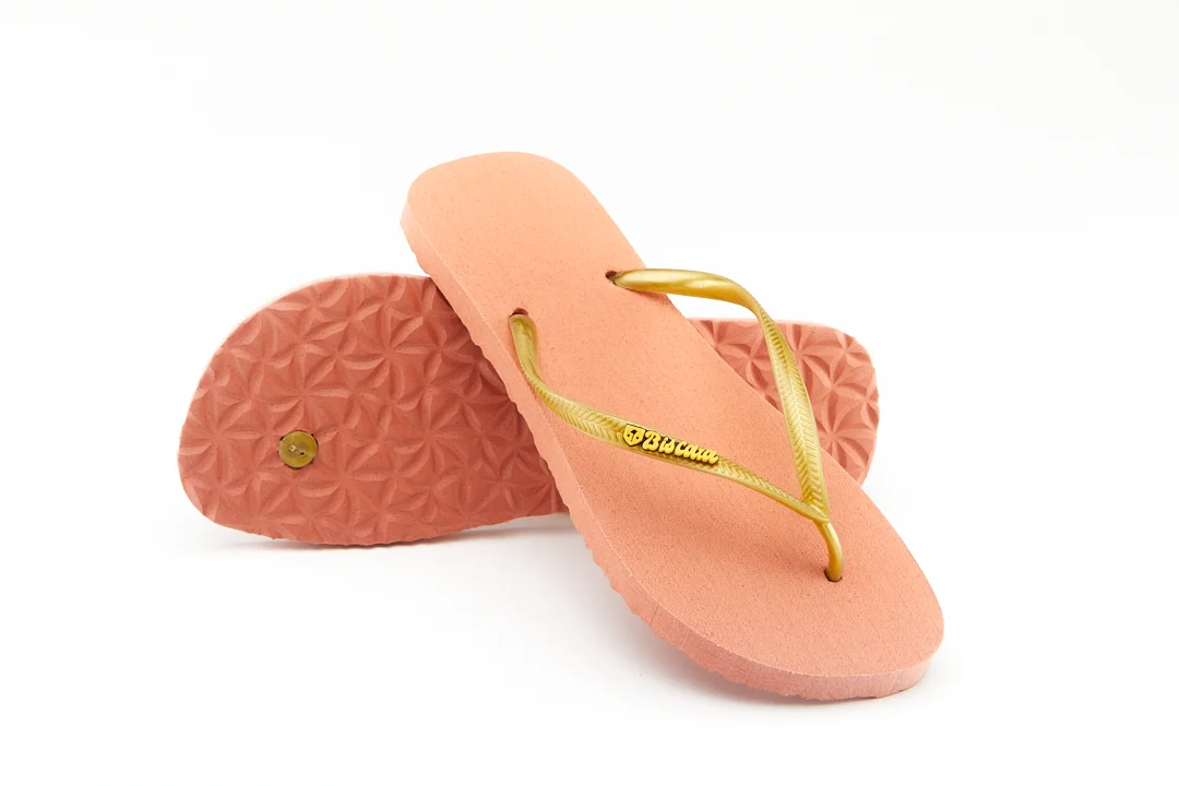 Biscaïa light dorée – Image 2