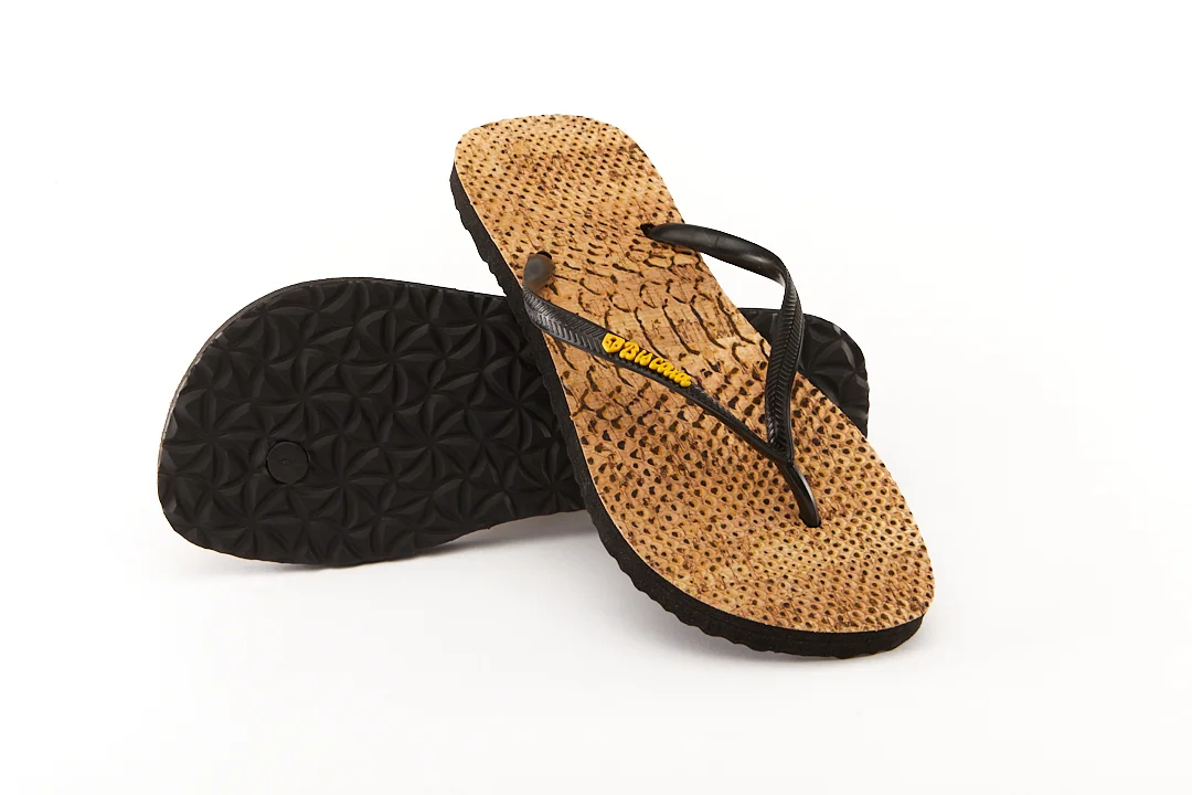 Biscaïa Python